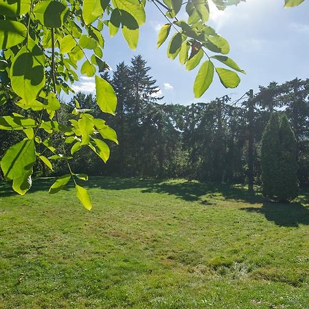 Ferienhaus Faltmann Хаймбах Екстериор снимка