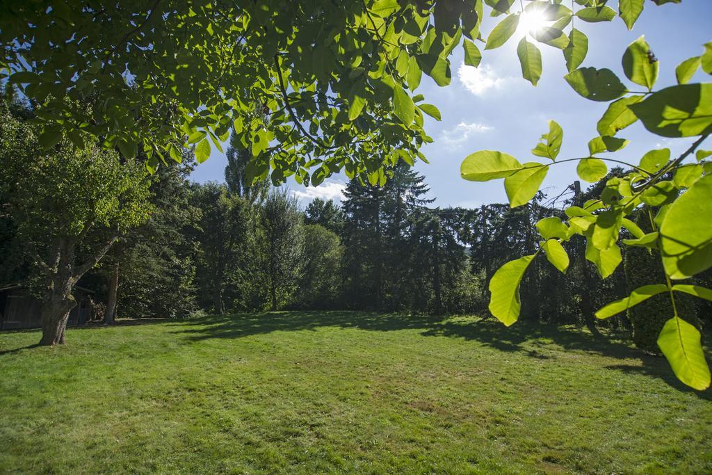Ferienhaus Faltmann Хаймбах Екстериор снимка